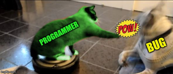 RayCat Roomba | PROGRAMMER BUG | image tagged in raycat roomba | made w/ Imgflip meme maker