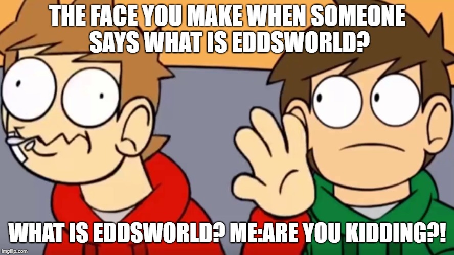 When people ask what is Eddsworld... | THE FACE YOU MAKE WHEN SOMEONE SAYS WHAT IS EDDSWORLD? WHAT IS EDDSWORLD? ME:ARE YOU KIDDING?! | image tagged in eddsworld | made w/ Imgflip meme maker