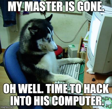 I Have No Idea What I Am Doing | MY MASTER IS GONE. OH WELL. TIME TO HACK INTO HIS COMPUTER. | image tagged in memes,i have no idea what i am doing | made w/ Imgflip meme maker