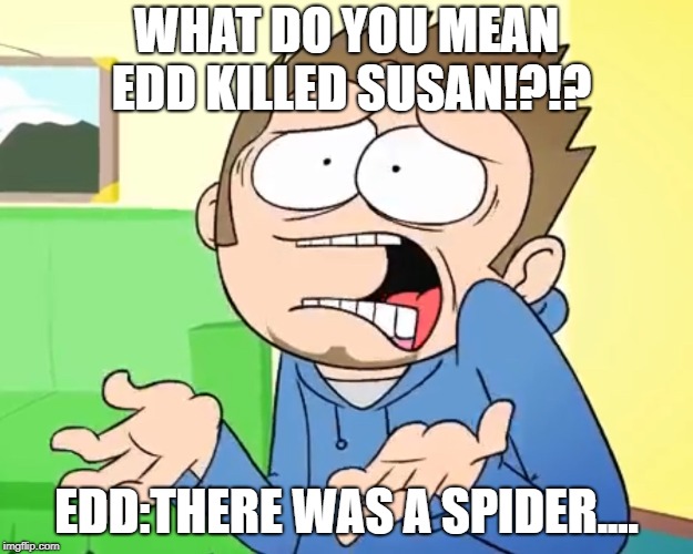 Eddsworld What are you Talking About?! | WHAT DO YOU MEAN EDD KILLED SUSAN!?!? EDD:THERE WAS A SPIDER.... | image tagged in eddsworld what are you talking about | made w/ Imgflip meme maker