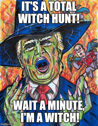 Witch Hunt! | IT'S A TOTAL WITCH HUNT! WAIT A MINUTE, I'M A WITCH! | image tagged in trump bill signing | made w/ Imgflip meme maker