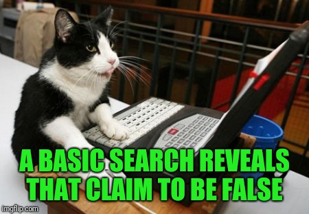 Fact Cat | A BASIC SEARCH REVEALS THAT CLAIM TO BE FALSE | image tagged in fact cat | made w/ Imgflip meme maker