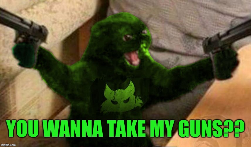 RayCat Angry | YOU WANNA TAKE MY GUNS?? | image tagged in raycat angry | made w/ Imgflip meme maker