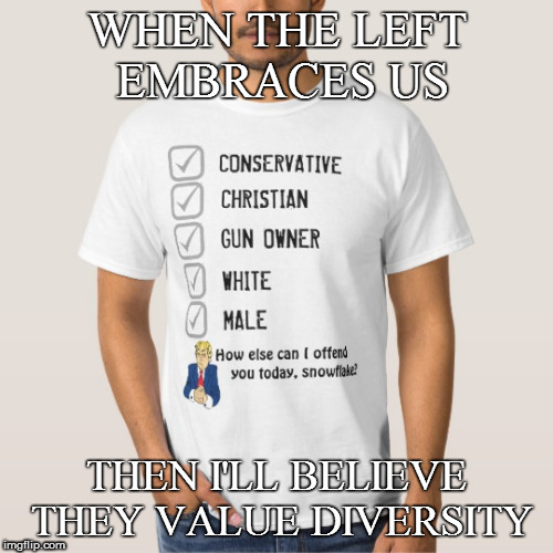 Diversity |  WHEN THE LEFT EMBRACES US; THEN I'LL BELIEVE THEY VALUE DIVERSITY | image tagged in diversity,conservatives,christian,guns,male,agenda | made w/ Imgflip meme maker