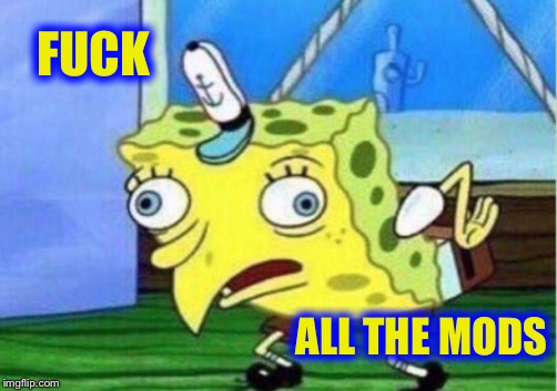 Mocking Spongebob Meme | F**K ALL THE MODS | image tagged in memes,mocking spongebob | made w/ Imgflip meme maker