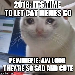 Sad cat tears | 2018: IT'S TIME TO LET CAT MEMES GO; PEWDIEPIE: AW LOOK THEY'RE SO SAD AND CUTE | image tagged in sad cat tears | made w/ Imgflip meme maker