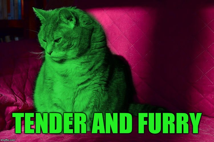 Cantankerous RayCat | TENDER AND FURRY | image tagged in cantankerous raycat | made w/ Imgflip meme maker
