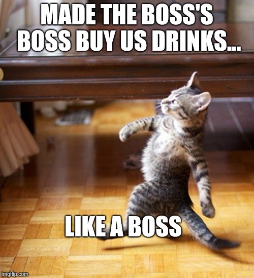 Cat Walking Like A Boss | MADE THE BOSS'S BOSS BUY US DRINKS... LIKE A BOSS | image tagged in cat walking like a boss | made w/ Imgflip meme maker