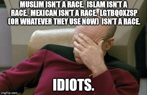 Racist this, racist that... | MUSLIM ISN'T A RACE.  ISLAM ISN'T A RACE.  MEXICAN ISN'T A RACE.  LGTBQ0XZSP (OR WHATEVER THEY USE NOW)  ISN'T A RACE. IDIOTS. | image tagged in memes,captain picard facepalm,racism,racist,stupidity | made w/ Imgflip meme maker