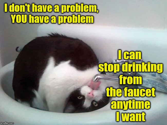 For cats, the struggle is real. | I can stop drinking from the faucet anytime I want; I don't have a problem, YOU have a problem | image tagged in memes,cats,cat drinking from faucet | made w/ Imgflip meme maker