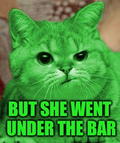 RayCat Annoyed | BUT SHE WENT UNDER THE BAR | image tagged in raycat annoyed | made w/ Imgflip meme maker