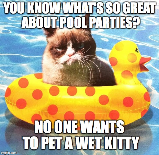 classic grumpy | YOU KNOW WHAT'S SO GREAT ABOUT POOL PARTIES? NO ONE WANTS TO PET A WET KITTY | image tagged in grumpycatmeme,poolpartymeme | made w/ Imgflip meme maker