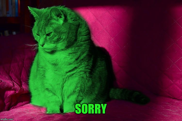 Cantankerous RayCat | SORRY | image tagged in cantankerous raycat | made w/ Imgflip meme maker