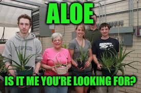 ALOE IS IT ME YOU’RE LOOKING FOR? | made w/ Imgflip meme maker