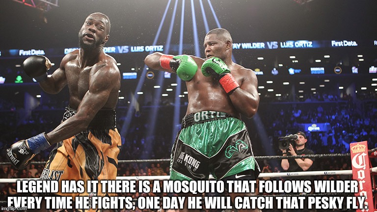 Wilder's Problems | LEGEND HAS IT THERE IS A MOSQUITO THAT FOLLOWS WILDER EVERY TIME HE FIGHTS, ONE DAY HE WILL CATCH THAT PESKY FLY. | image tagged in windmill,king kong,deontay wilder,mike tyson,boxing,ufc | made w/ Imgflip meme maker