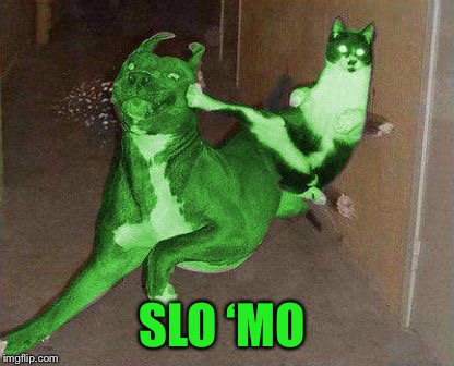 RayCat kicking RayDog | SLO ‘MO | image tagged in raycat kicking raydog | made w/ Imgflip meme maker