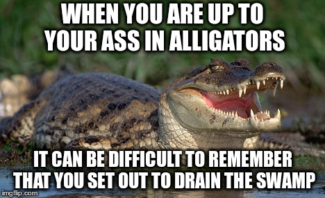 I'm Sure Custer Had a Plan, Too. |  WHEN YOU ARE UP TO YOUR ASS IN ALLIGATORS; IT CAN BE DIFFICULT TO REMEMBER THAT YOU SET OUT TO DRAIN THE SWAMP | image tagged in alligator | made w/ Imgflip meme maker