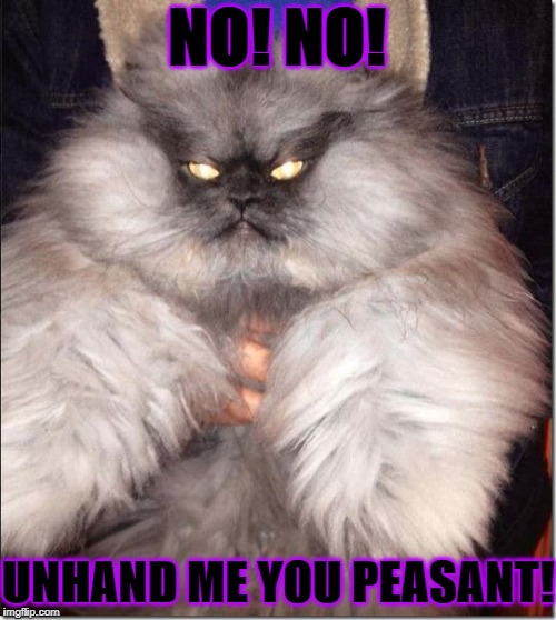 NO! NO! UNHAND ME YOU PEASANT! | image tagged in mad  fluffy | made w/ Imgflip meme maker