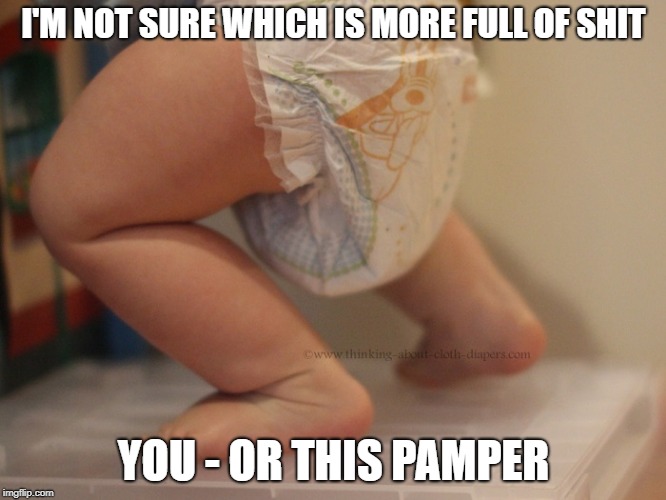 I'M NOT SURE WHICH IS MORE FULL OF SHIT; YOU - OR THIS PAMPER | image tagged in fos,full of it,pamper,full pamper,full of shit | made w/ Imgflip meme maker