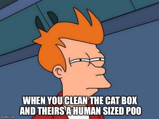 Futurama Fry Meme | WHEN YOU CLEAN THE CAT BOX AND THEIRS A HUMAN SIZED POO | image tagged in memes,futurama fry | made w/ Imgflip meme maker