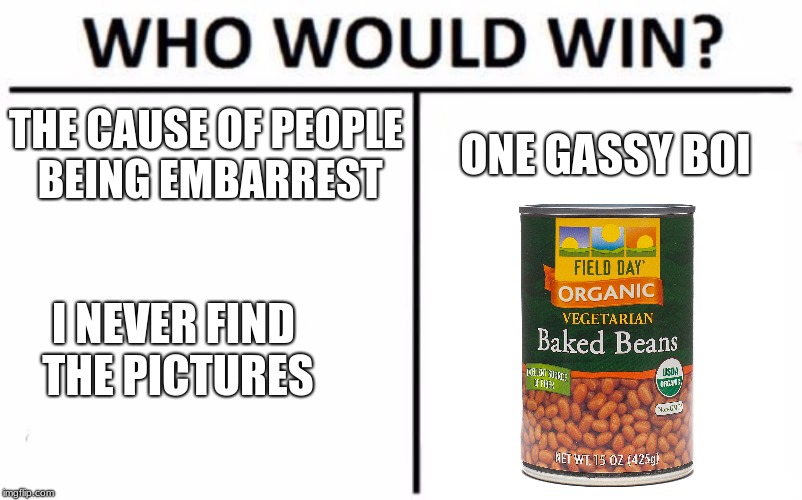 Who Would Win? Meme | THE CAUSE OF PEOPLE BEING EMBARREST; ONE GASSY BOI; I NEVER FIND THE PICTURES | image tagged in memes,who would win | made w/ Imgflip meme maker