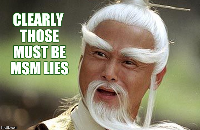 Wise Man Is Impressed | CLEARLY THOSE MUST BE MSM LIES | image tagged in wise man is impressed | made w/ Imgflip meme maker