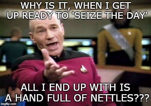 Picard Wtf Meme | WHY IS IT, WHEN I GET UP READY TO 'SEIZE THE DAY'; ALL I END UP WITH IS A HAND FULL OF NETTLES??? | image tagged in memes,picard wtf | made w/ Imgflip meme maker
