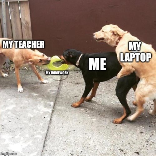 This Is My Life | MY TEACHER; MY LAPTOP; ME; MY HOMEWORK | image tagged in this is my life | made w/ Imgflip meme maker