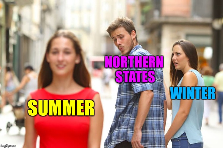 Distracted Boyfriend Meme | NORTHERN STATES; WINTER; SUMMER | image tagged in memes,distracted boyfriend | made w/ Imgflip meme maker
