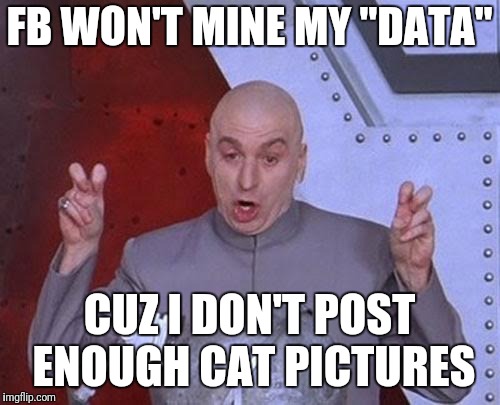 Need More Cat | FB WON'T MINE MY "DATA"; CUZ I DON'T POST ENOUGH CAT PICTURES | image tagged in memes,dr evil laser,fb,data,cats | made w/ Imgflip meme maker