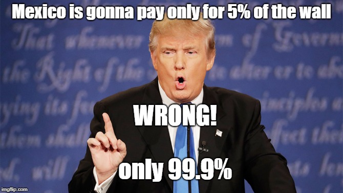 Donald Trump Wrong | Mexico is gonna pay only for 5% of the wall; WRONG! only 99.9% | image tagged in donald trump wrong | made w/ Imgflip meme maker
