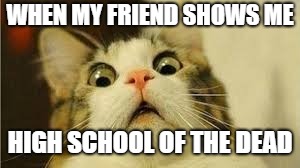 Funny animals | WHEN MY FRIEND SHOWS ME; HIGH SCHOOL OF THE DEAD | image tagged in funny animals,hotd | made w/ Imgflip meme maker