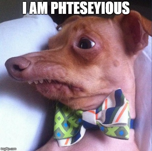Tuna The Dog Phteven Imgflip tuna-the-dog-phteven-imgflip