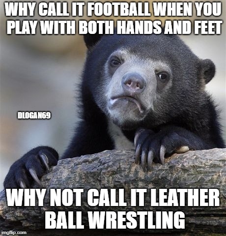 Confession Bear Meme | WHY CALL IT FOOTBALL WHEN YOU PLAY WITH BOTH HANDS AND FEET; DLOGAN69; WHY NOT CALL IT LEATHER BALL WRESTLING | image tagged in memes,confession bear | made w/ Imgflip meme maker