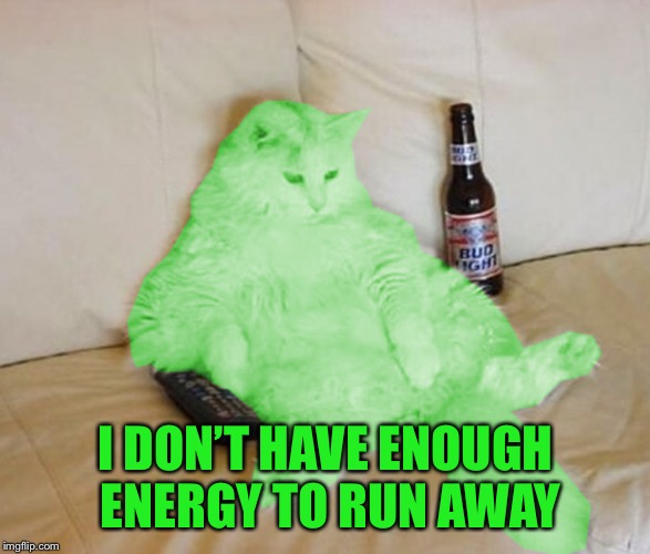 RayCat Chillin' | I DON’T HAVE ENOUGH ENERGY TO RUN AWAY | image tagged in raycat chillin' | made w/ Imgflip meme maker