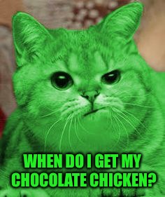 RayCat Annoyed | WHEN DO I GET MY CHOCOLATE CHICKEN? | image tagged in raycat annoyed | made w/ Imgflip meme maker