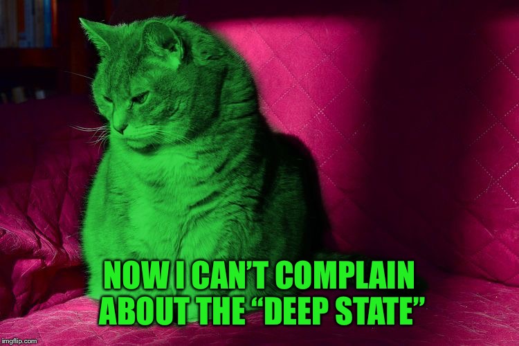 Cantankerous RayCat | NOW I CAN’T COMPLAIN ABOUT THE “DEEP STATE” | image tagged in cantankerous raycat | made w/ Imgflip meme maker