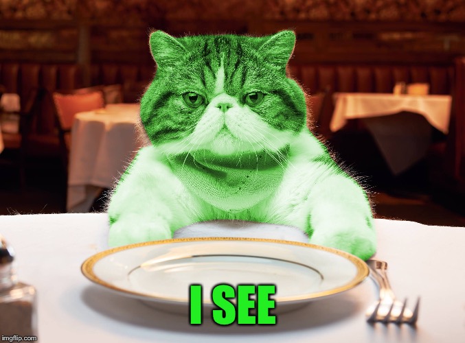 RayCat Hungry | I SEE | image tagged in raycat hungry | made w/ Imgflip meme maker