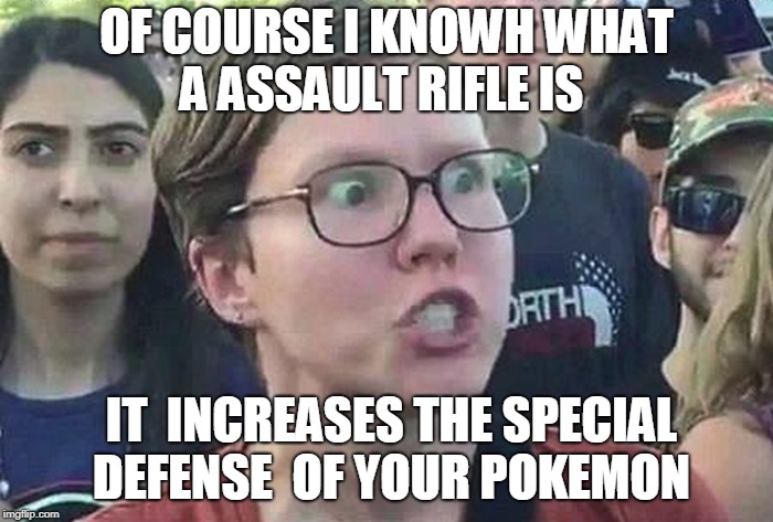 Triggered Liberal | OF COURSE I KNOWH WHAT A ASSAULT RIFLE IS; IT  INCREASES THE SPECIAL  DEFENSE  OF YOUR POKEMON | image tagged in triggered liberal | made w/ Imgflip meme maker