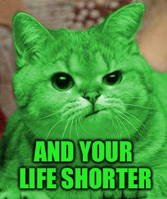 RayCat Annoyed | AND YOUR LIFE SHORTER | image tagged in raycat annoyed | made w/ Imgflip meme maker