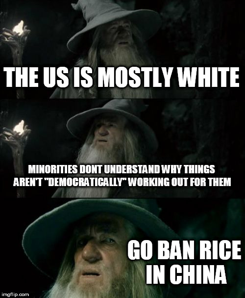 Confused Gandalf Meme | THE US IS MOSTLY WHITE; MINORITIES DONT UNDERSTAND WHY THINGS AREN'T "DEMOCRATICALLY" WORKING OUT FOR THEM; GO BAN RICE IN CHINA | image tagged in memes,confused gandalf | made w/ Imgflip meme maker