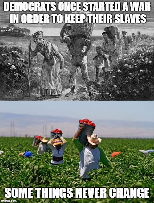 Democrats Love Their Cheap Labor | DEMOCRATS ONCE STARTED A WAR IN ORDER TO KEEP THEIR SLAVES; SOME THINGS NEVER CHANGE | image tagged in memes,illegal immigration,democrats | made w/ Imgflip meme maker