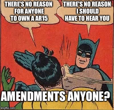 Batman Slapping Robin | THERE'S NO REASON FOR ANYONE TO OWN A AR15; THERE'S NO REASON I SHOULD HAVE TO HEAR YOU; AMENDMENTS ANYONE? | image tagged in memes,batman slapping robin | made w/ Imgflip meme maker