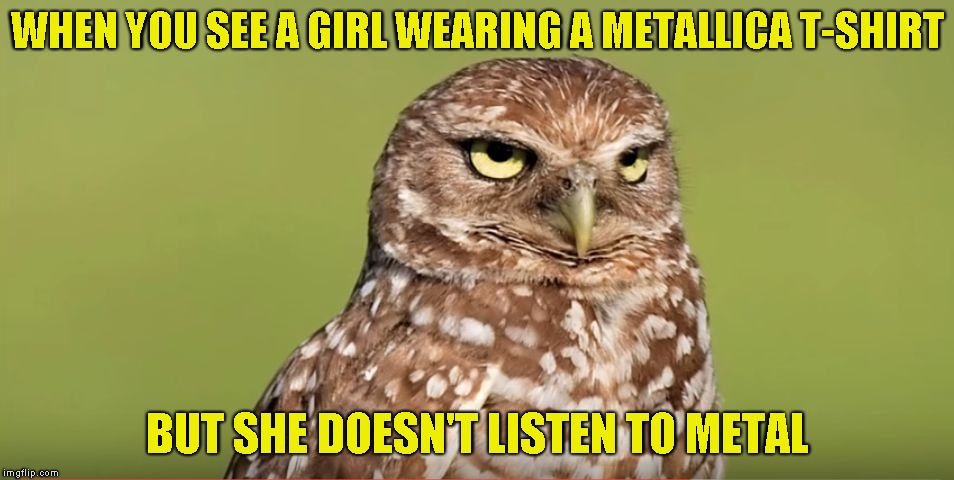 I had the misfortune of withessing this quite a few times... Kudos to DoctorDoomsday180 for the template! |  WHEN YOU SEE A GIRL WEARING A METALLICA T-SHIRT; BUT SHE DOESN'T LISTEN TO METAL | image tagged in death stare owl,doctordoomsday180,powermetalhead,metallica,metal,memes | made w/ Imgflip meme maker