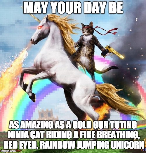 Welcome To The Internets | MAY YOUR DAY BE; AS AMAZING AS A GOLD GUN TOTING NINJA CAT RIDING A FIRE BREATHING, RED EYED, RAINBOW JUMPING UNICORN | image tagged in memes,welcome to the internets | made w/ Imgflip meme maker