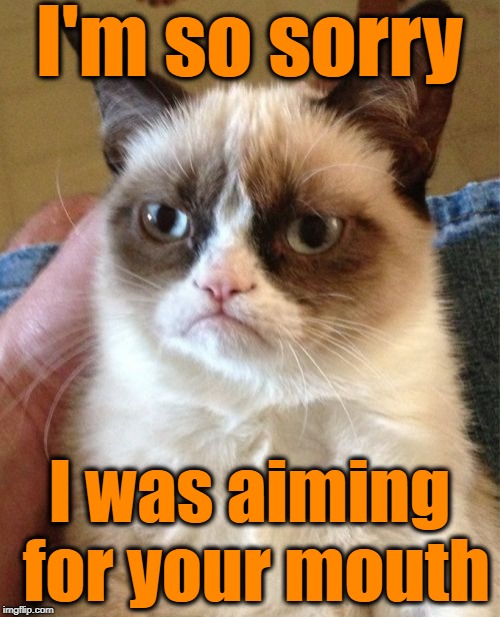 Grumpy Cat Meme | I'm so sorry I was aiming for your mouth | image tagged in memes,grumpy cat | made w/ Imgflip meme maker