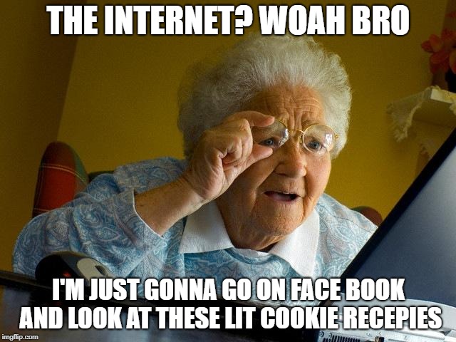 Grandma Finds The Internet | THE INTERNET? WOAH BRO; I'M JUST GONNA GO ON FACE BOOK AND LOOK AT THESE LIT COOKIE RECEPIES | image tagged in memes,grandma finds the internet | made w/ Imgflip meme maker