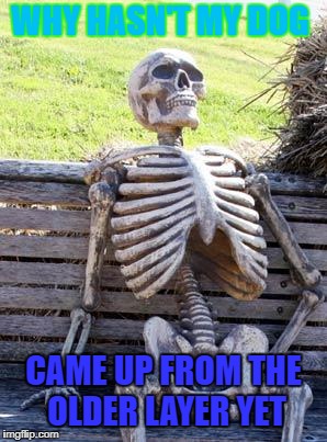 Waiting Skeleton | WHY HASN'T MY DOG; CAME UP FROM THE OLDER LAYER YET | image tagged in memes,waiting skeleton | made w/ Imgflip meme maker