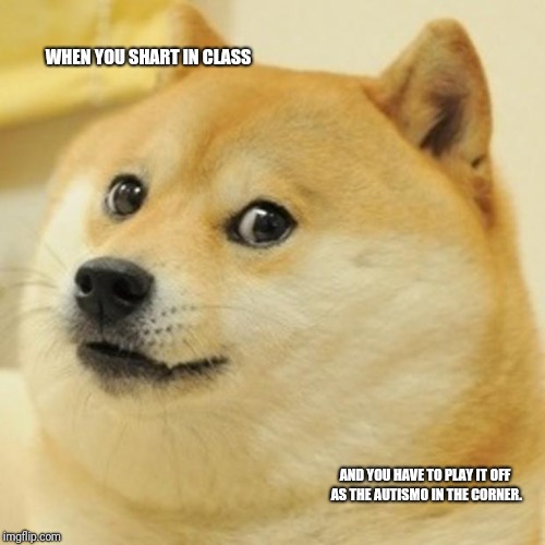 Doge | WHEN YOU SHART IN CLASS; AND YOU HAVE TO PLAY IT OFF AS THE AUTISMO IN THE CORNER. | image tagged in memes,doge | made w/ Imgflip meme maker