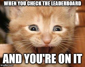 Just reached 249th place! | WHEN YOU CHECK THE LEADERBOARD; AND YOU'RE ON IT | image tagged in memes,excited cat | made w/ Imgflip meme maker